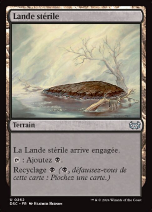 Lande stérile [FR]