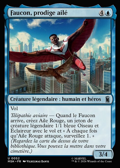 Faucon, prodige ailé [FR]