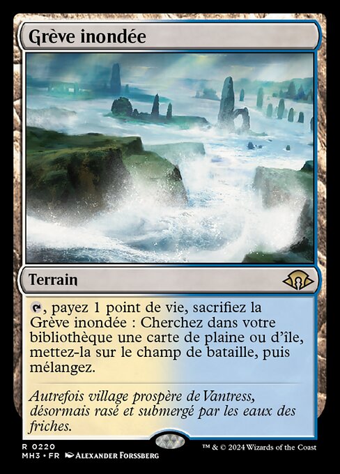 Grève inondée [FR]