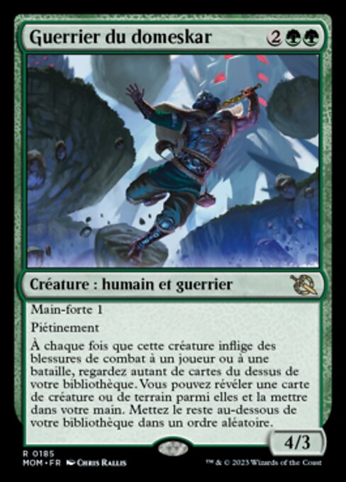 Guerrier du domeskar [FR]