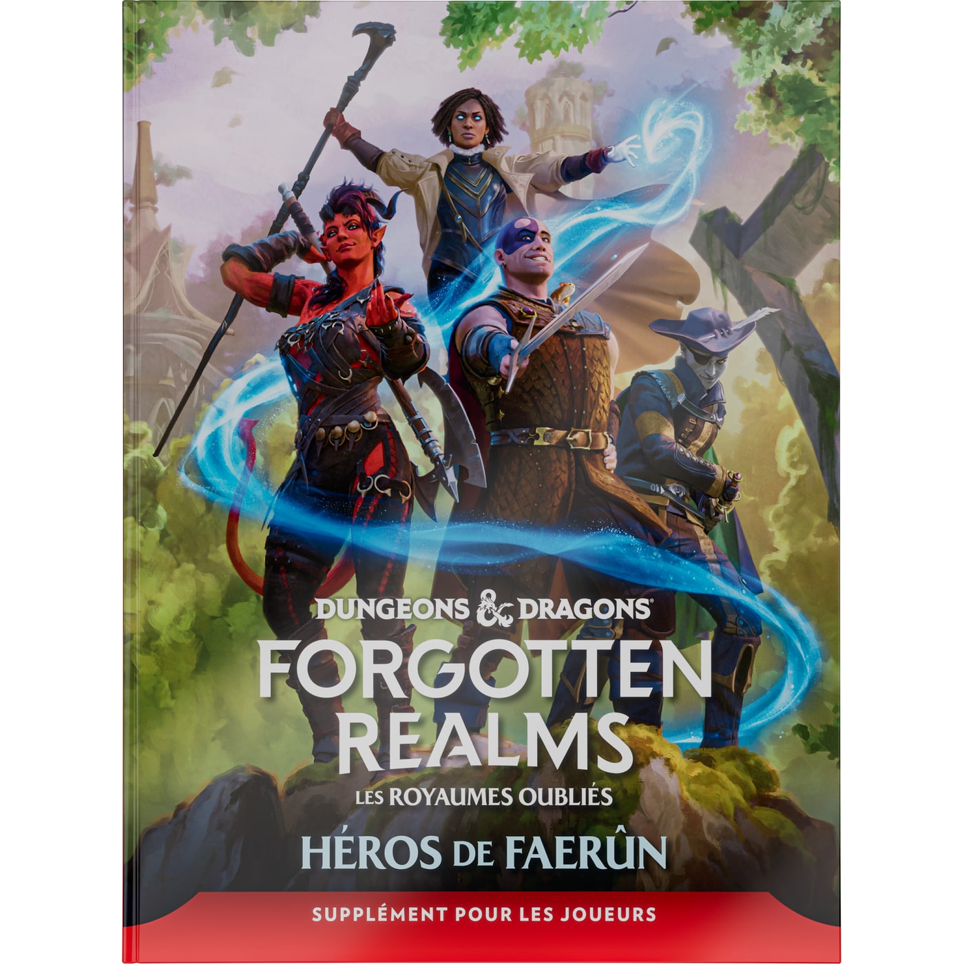 D&D - Forgotten Realms : Héros de Faerûn