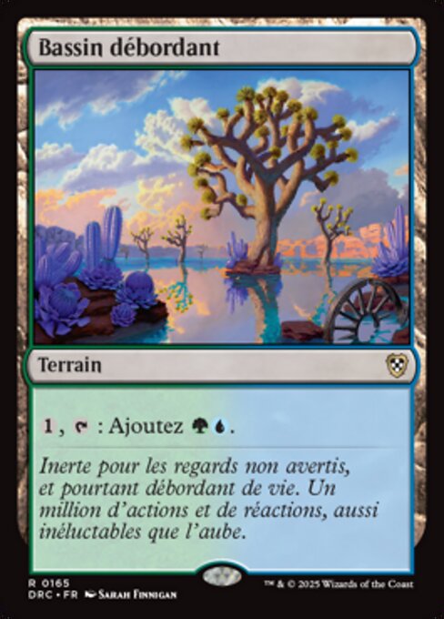 Bassin débordant [FR]