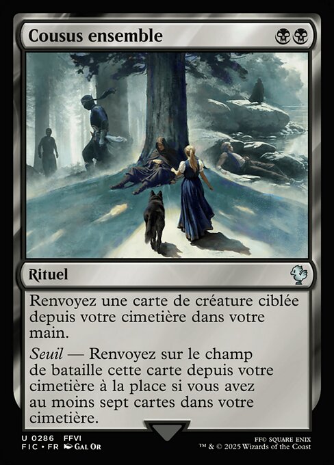 Cousus ensemble [FR]