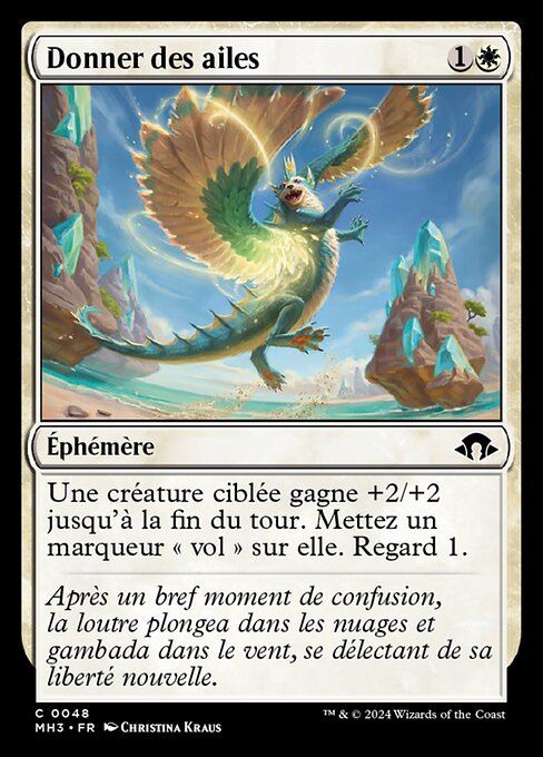 Donner des ailes [FR]
