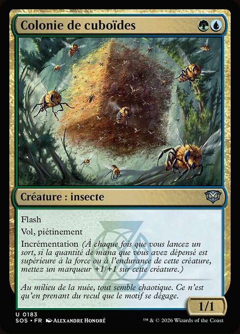 Colonie de cuboïdes [FR]