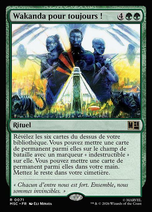 Wakanda pour toujours ! [FR]