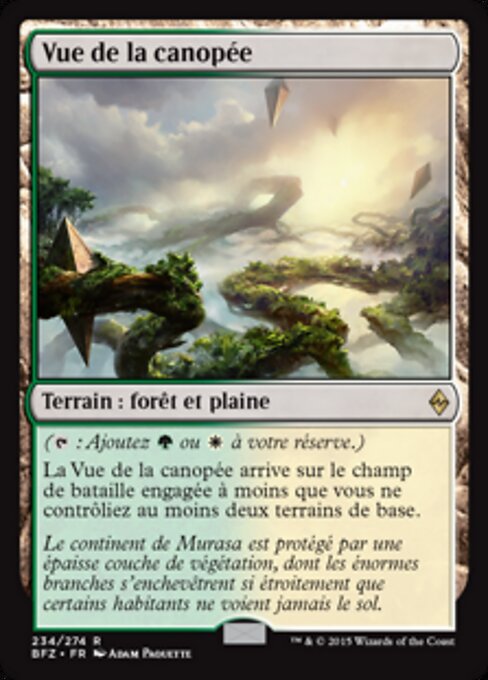 Vue de la canopée [FR]