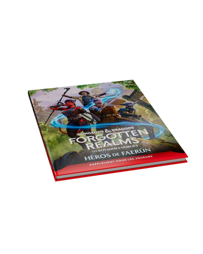 Forgotten Realms : Héros de Faerûn — couverture française, vue de trois quarts
