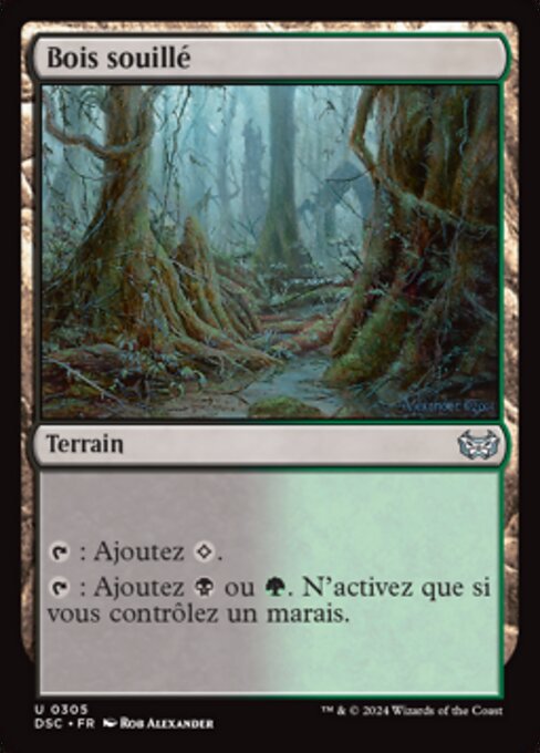 Bois souillé [FR]