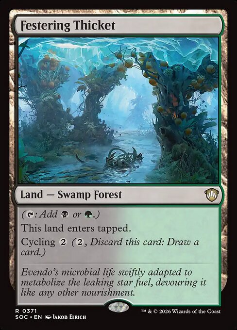 Festering Thicket [EN]