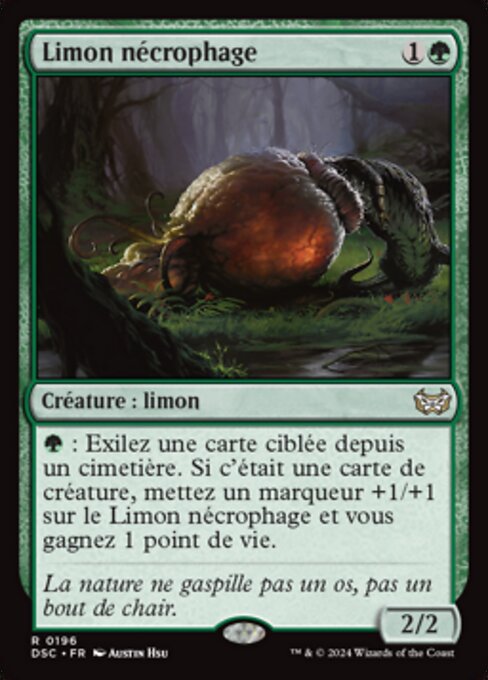 Limon nécrophage [FR]