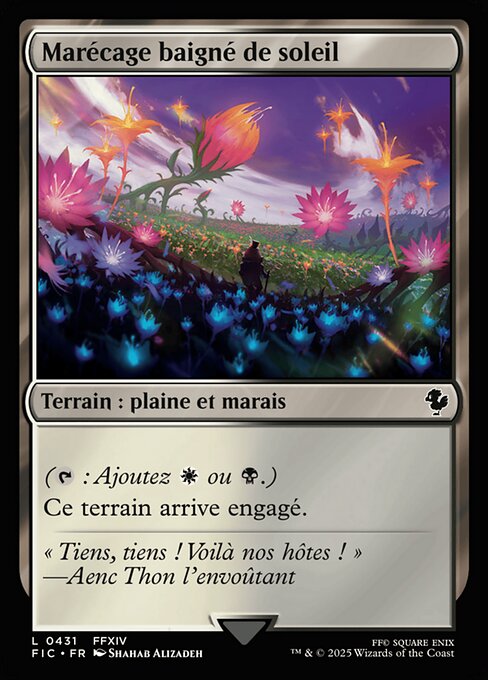 Marécage baigné de soleil [FR]